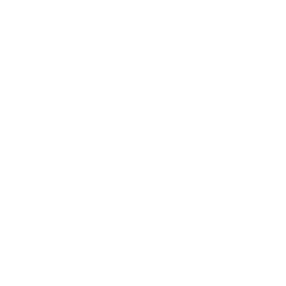 FEI Logo