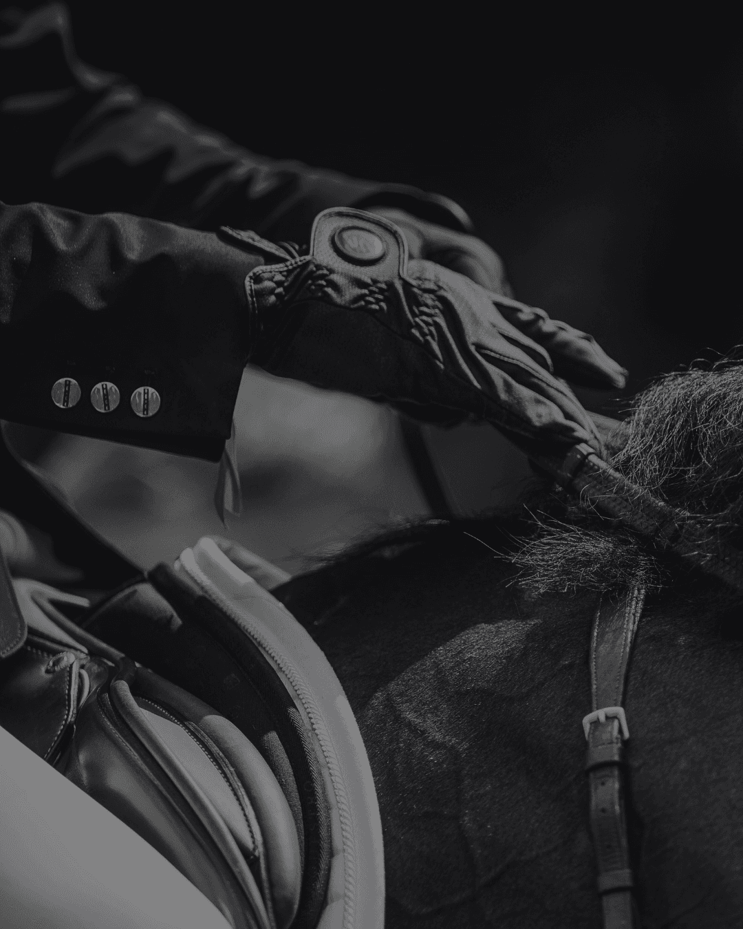 Horse jumping a show jumping fence under a spotlight