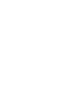 FEI Logo