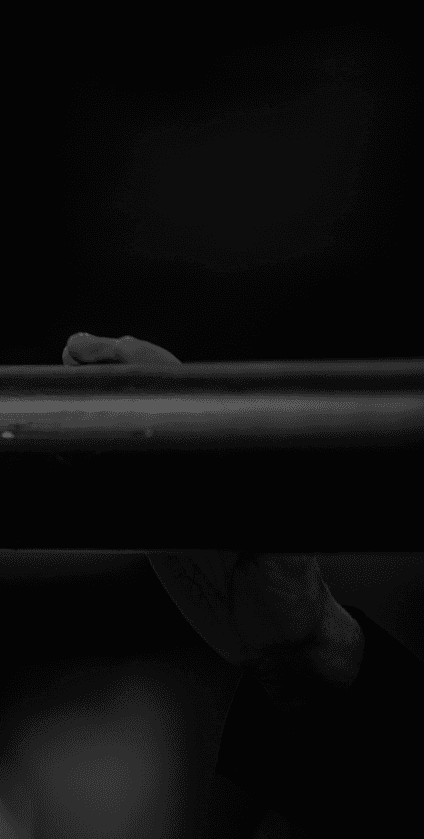 Horse jumping a show jumping fence under a spotlight