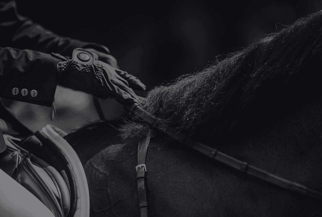 Horse jumping a show jumping fence under a spotlight