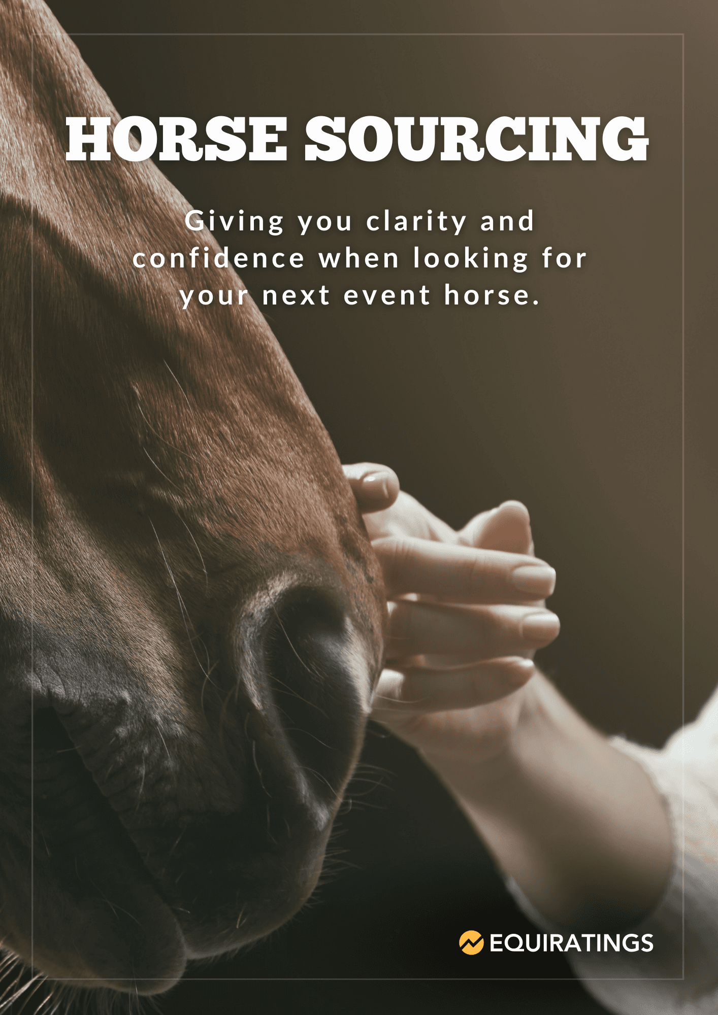 Horse Sourcing Promotional Cover