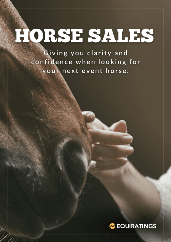 Cover image for Horse Sales
