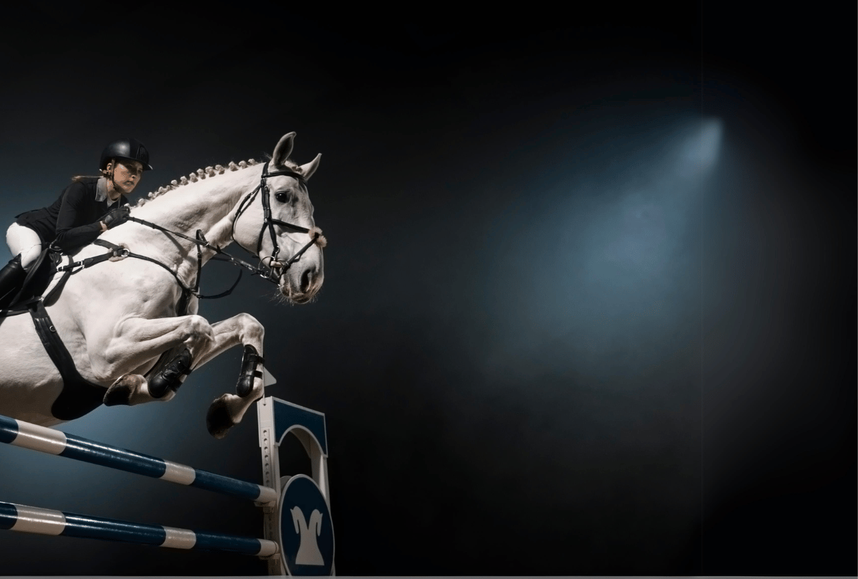 Horse jumping a show jumping fence under a spotlight